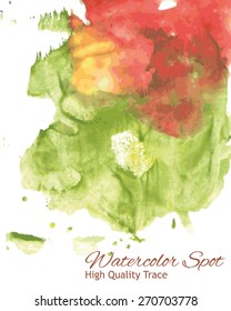 Abstract Watercolor Colorful Spot (vector background)