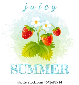 Abstract watercolor Hello summer grunge background, strawberry fruit garden isolated  white. Modern design element banner, vector illustration. Hand drawn splash, poster template. Fresh summertime art