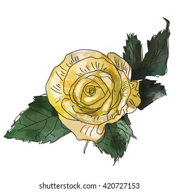 Abstract watercolor illustration rose. Vector design