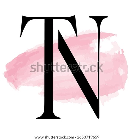 Abstract Watercolor TN Initials Logo