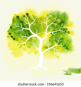 Abstract watercolor vector green tree for your design