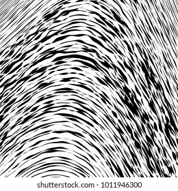 Abstract Wave Element for Design, Stylized Line Art Background,  Curved Wavy Line, Smooth Wave Stripe Background, Black and White Wave Stripe Optical Abstract Design, Vector Background, Curved Lines