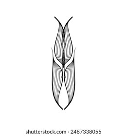 Abstract wave line art vector illustration design. Eps 10