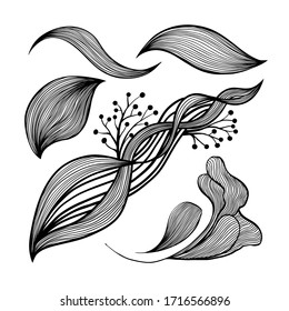 Abstract waves black and white line art decoration set for wallpaper and wall art design. Use for laser cutting. Modern contour drawign elements wavy collection svg