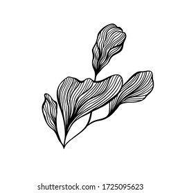 Resumen de las olas, decoración de arte en blanco y negro para el diseño de papel pintado y de arte en la pared. Uso para corte por láser. Objeto moderno de dibujo de contorno.