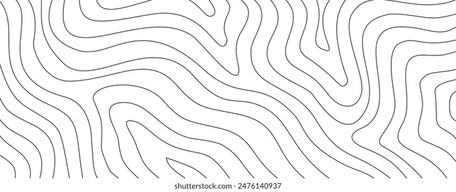 abstract wavy background. topographic contour background. contour lines background. Topographic map contour background.