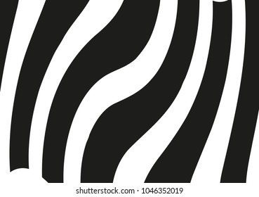Abstract wavy lines. Curved black and white stripes. Vector illustration 