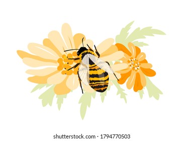 Abstract western honey bee pollinating a daisy flower. Extracts nectar from a sunflower. Can be used for National Honey Bee Day poster, greeting card or banner. Isolated on white background.