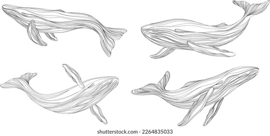 Abstract whales floating underwater. Illustration isolated animal on white background. Ocean mammal swimming set.