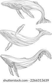 Abstract whales floating underwater. Illustration isolated animal on white background. Ocean mammal swimming set.