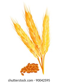 abstract wheat ears with ripe vector illustration