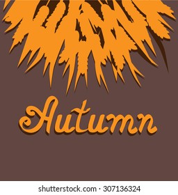 Abstract wheat ears. Vintage vector illustration. Autumn background. 
