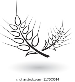 Abstract wheat on white background