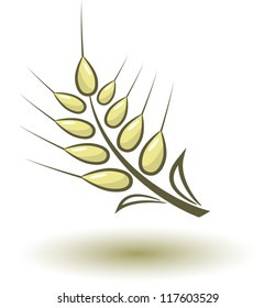 Abstract wheat on white background