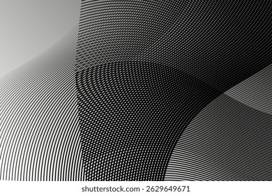 Abstract white background with black lines and waves. Vector illustration of background