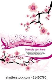 abstract white background with cherry blossom and text