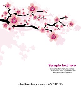 abstract white background with cherry blossom and text