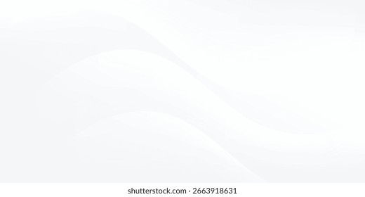 abstract white background with curve lines. vector ilustration. Eps 10