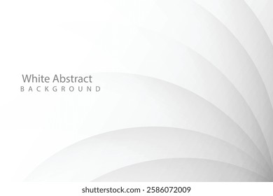 abstract white background with curve shape