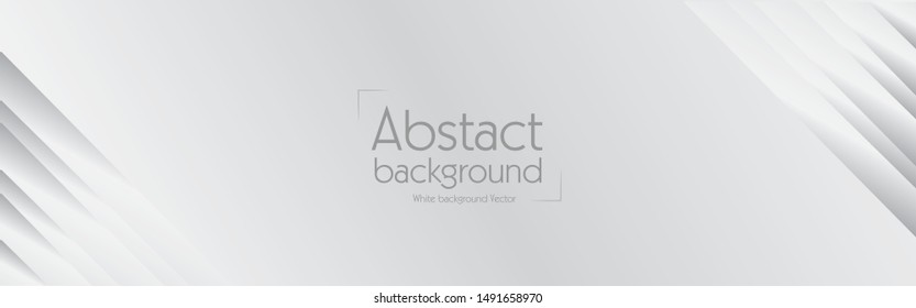 Abstract white background geometric white and gray color background vector. 