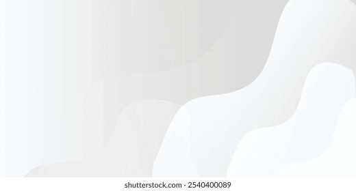 abstract white background with gradient color and dynamic curve line