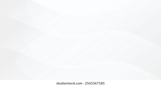 Abstract white background with gradient color and artistic dynamic line simple