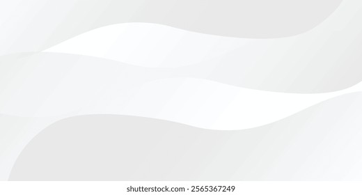 Abstract white background with gradient color and artistic dynamic line simple modern art