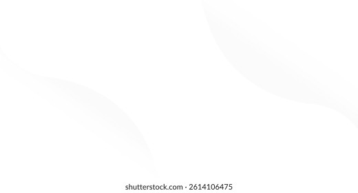 abstract white background with gradient color and artistic dynamic line decoration
