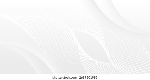 abstract white background with gradient color and artistic dynamic line decoration