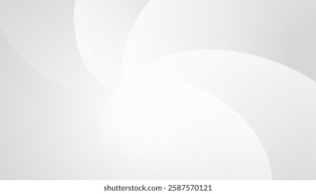 Abstract white background with gray gradient dynamic curve. Vector illustration