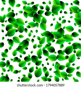 
Abstract white background with green vector leaves, design element