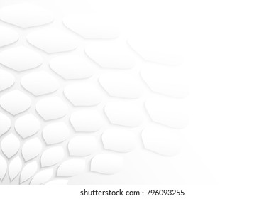 Abstract white Background, light and shadow ,Vector