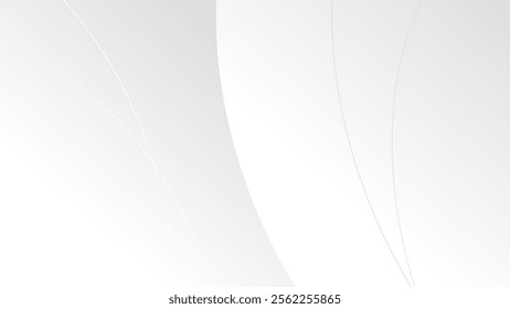 Abstract white background. Modern background concept. vector.