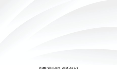 abstract white background with modern lines decoration