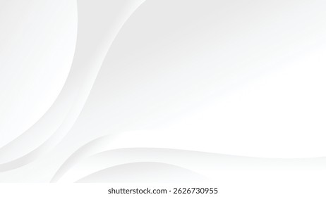 abstract white background with smooth swirl lines decoration