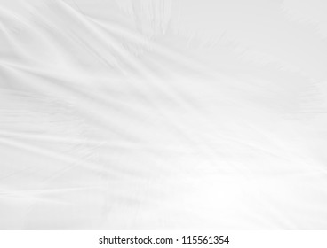 Abstract white background. Vector design eps 10