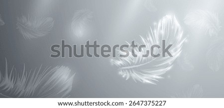Abstract white bird feathers falling in the air. Low polygonal, wireframe, linear and mesh. Vector illustration