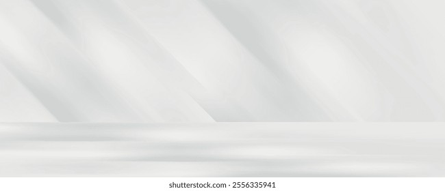 Abstract white color studio background for product presentation. Empty room with shadows of window and flowers and plant leaves