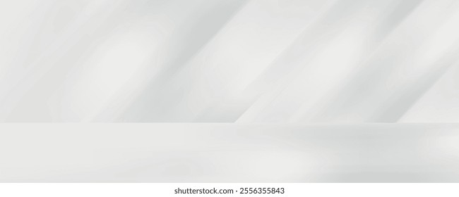 Abstract white color studio background for product presentation. Empty room with shadows of window and flowers and plant leaves