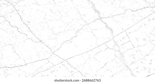 Superficie agrietada blanca Abstractas con textura negra de las venas del grunge