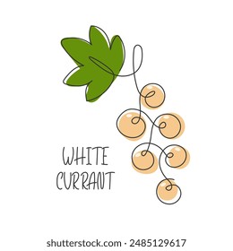 Abstractas racimo de grosellas blancas aislado. Ilustración de comida dibujada en línea continua de verano. Comida vegana saludable de la baya de la vitamina. Ingrediente para jarabe, jugo, batido, mermelada. Elemento Design