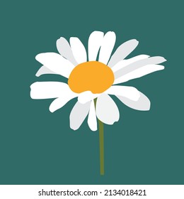 Abstract White  daisy flowers background, floral for printing on green background illustration.hand drawn daisy flower on green tones color background vector design.