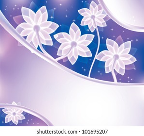abstract white flowers and light frame on pink sky background
