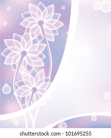 abstract white flowers and light frame on pink sky background