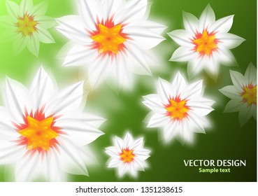 Abstract white flowers on a bright background. Place for your text. Floral design for flyers, banners, greeting cards, invitations. Vector illustration.