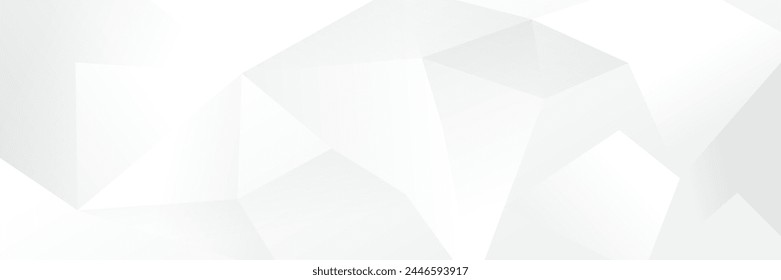 Abstract white Geometric banner design background.