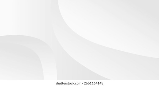 abstract white gradient color background with curve and swirl lines decoration, vector illustration