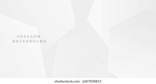 Abstract white gray background with glowing geometric lines. Modern shiny gray hexagon lines pattern. Technology futuristic concept. Suit for poster, banner, brochure, cover, flyer. Eps10