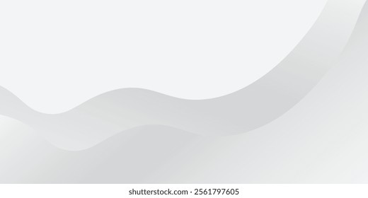 Abstract white and gray background with gradient color and artistic dynamic line simple