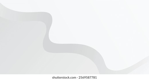 Abstract white and gray background with gradient color and artistic art simple modern design